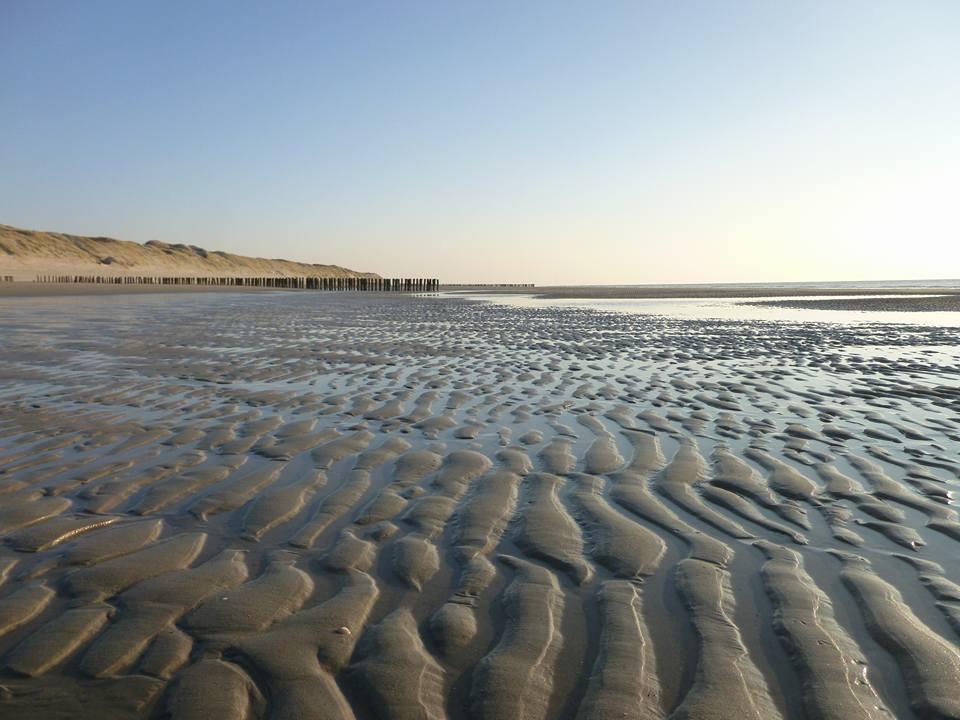La Casa Aan Zee Apartment Ellemeet Luaran gambar